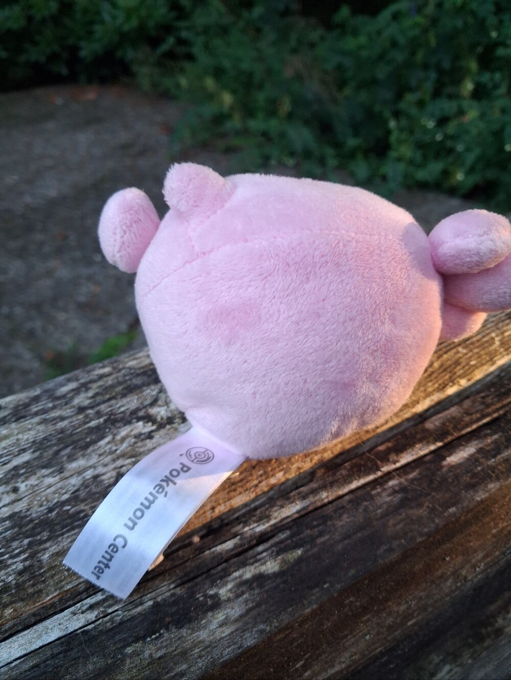pokemon - Picture 2 of 3